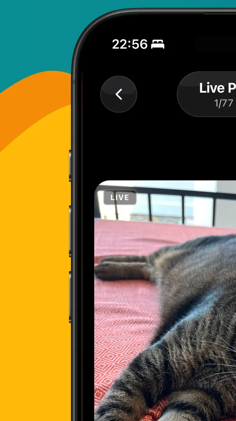 Full-screen swipe view of a Live Photo